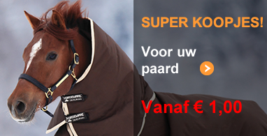 Ooteman Paardensport