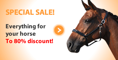 Ooteman Paardensport