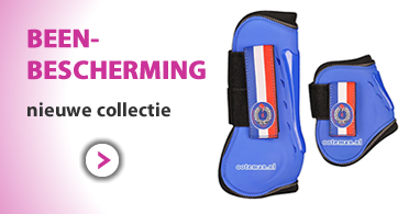 Ooteman Paardensport