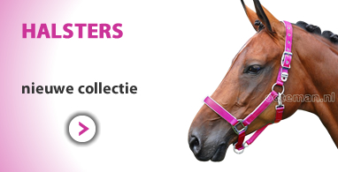 Ooteman Paardensport