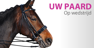Ooteman Paardensport