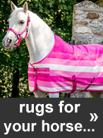 Horse rugs at Ooteman