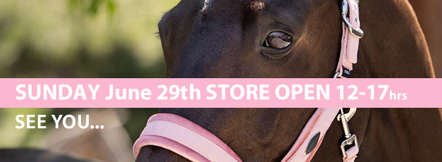 Sunday June 29th store open!