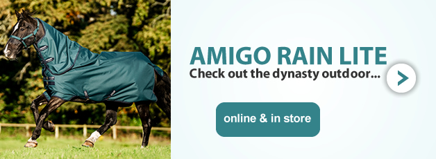 Horseware Amigo at Ooteman