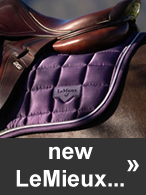 New LeMieux Horse online & in store