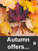 New Autumn Offers!