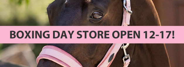 26-12 store open!