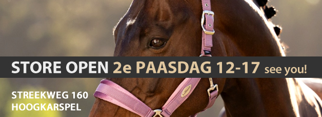 Openingstijden store