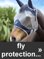 Fly protection for your horse from € 3,95