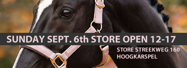 Visit our store!