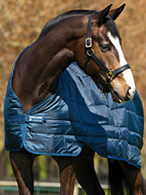Special offer! Horseware Liners