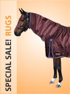 Special Sale Rugs