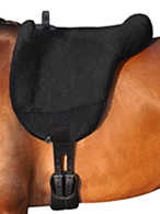Vantaggio Horsewear at Ooteman