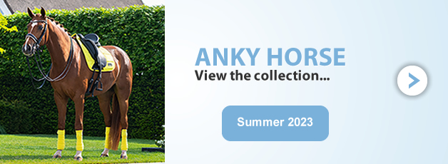 Anky Horse