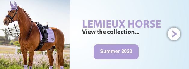 LeMieux at Ooteman