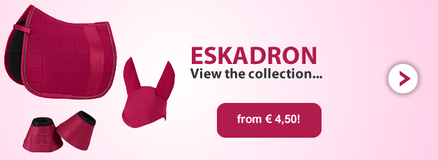 Eskadron at Ooteman 