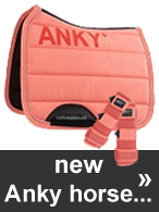 New Anky for your horse