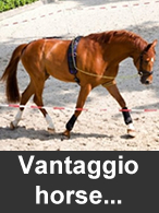 Vantaggio Horsewear bij Ooteman