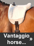 Vantaggio Horsewear at Ooteman