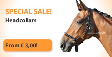 Ooteman Paardensport