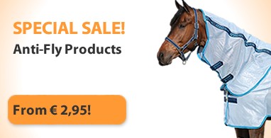 Ooteman Paardensport