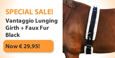 Ooteman Paardensport