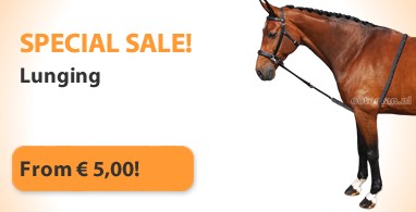 Ooteman Paardensport