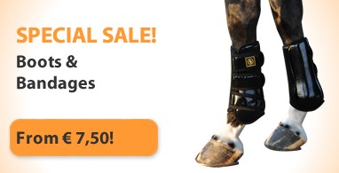 Ooteman Paardensport