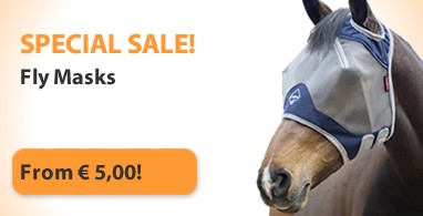 Ooteman Paardensport