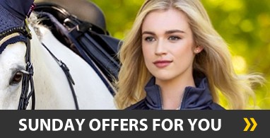Ooteman Paardensport