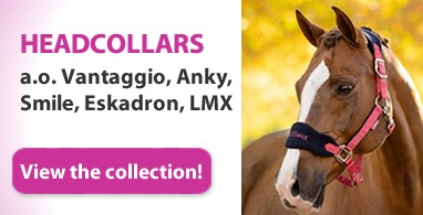 Ooteman Paardensport