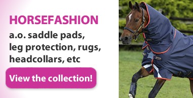 Ooteman Paardensport