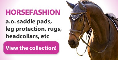 Ooteman Paardensport