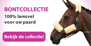 Ooteman Paardensport