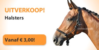 Ooteman Paardensport