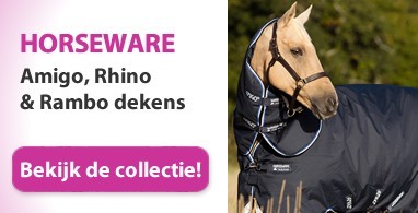 Ooteman Paardensport