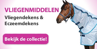 Ooteman Paardensport