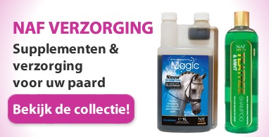 Ooteman Paardensport