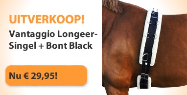 Ooteman Paardensport