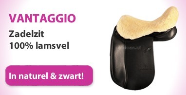 Ooteman Paardensport