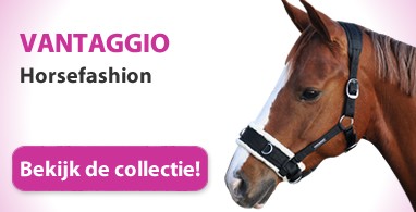 Ooteman Paardensport