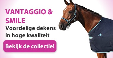 Ooteman Paardensport