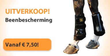 Ooteman Paardensport