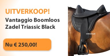 Ooteman Paardensport