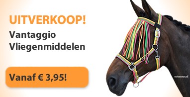 Ooteman Paardensport