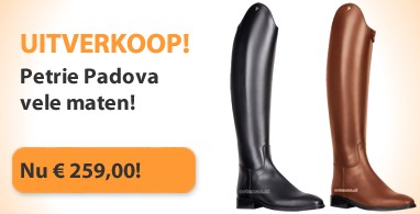Ooteman Paardensport
