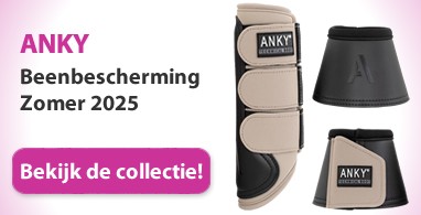 Ooteman Paardensport