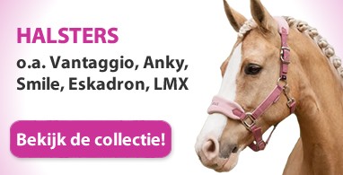 Ooteman Paardensport