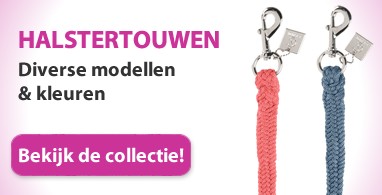 Ooteman Paardensport