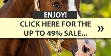 Ooteman Paardensport